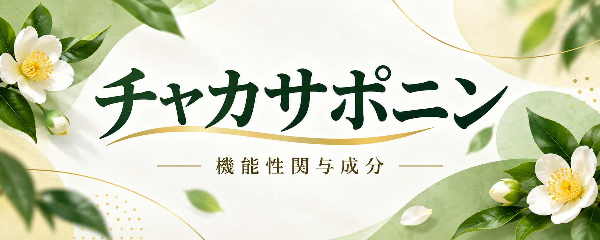 チャカサポニン — 機能性関与成分