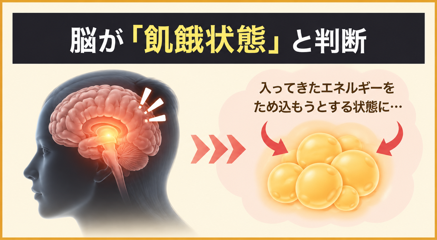 脳が「飢餓状態」と判断。入ってきたエネルギーをため込もうとする状態に…。